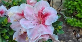 Enlarge photo 48