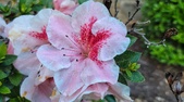 Enlarge photo 50