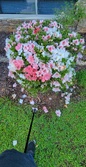 Enlarge photo 58