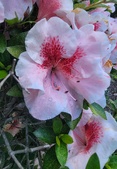 Enlarge photo 56