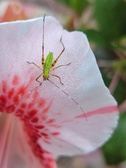 Enlarge photo 20