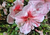 Enlarge photo 67
