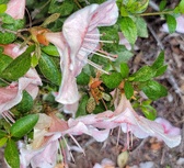 Enlarge photo 74
