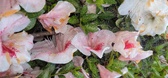 Enlarge photo 79