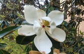 Enlarge photo 117