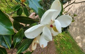 Enlarge photo 120