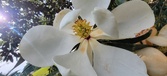 Enlarge photo 123