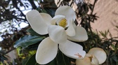 Enlarge photo 122
