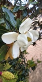 Enlarge photo 121
