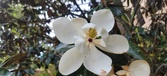 Enlarge photo 124
