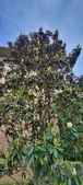 Enlarge photo 125