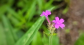 Enlarge photo 126