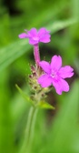 Enlarge photo 130