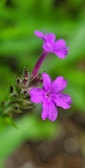Enlarge photo 131