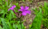 Enlarge photo 128