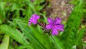 Enlarge photo 134