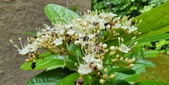 Enlarge photo 135