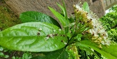 Enlarge photo 136