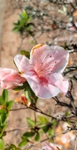 Enlarge photo 89