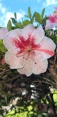 Enlarge photo 92