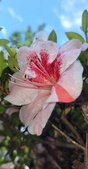 Enlarge photo 91