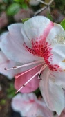 Enlarge photo 99