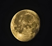 Enlarge photo 139