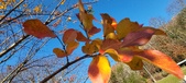 Enlarge photo 71