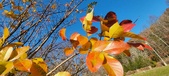 Enlarge photo 70
