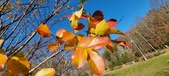 Enlarge photo 69