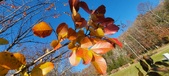 Enlarge photo 68