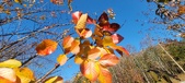 Enlarge photo 67
