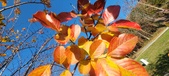 Enlarge photo 66