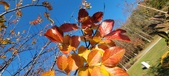 Enlarge photo 65