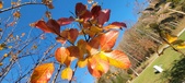 Enlarge photo 64