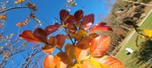 Enlarge photo 63