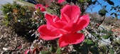 Enlarge photo 58