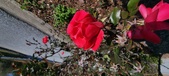 Enlarge photo 48