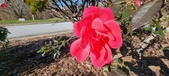 Enlarge photo 47