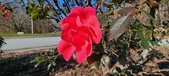 Enlarge photo 46