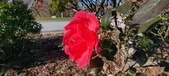 Enlarge photo 44