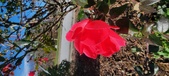 Enlarge photo 43
