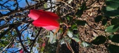 Enlarge photo 40