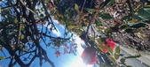 Enlarge photo 38