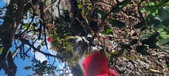 Enlarge photo 37