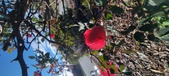 Enlarge photo 36