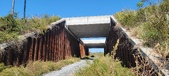 Enlarge photo 336