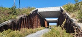 Enlarge photo 335