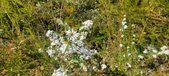 Enlarge photo 319