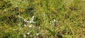 Enlarge photo 318